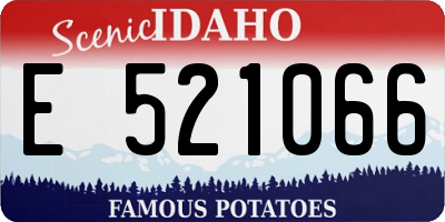 ID license plate E521066