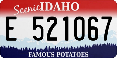 ID license plate E521067