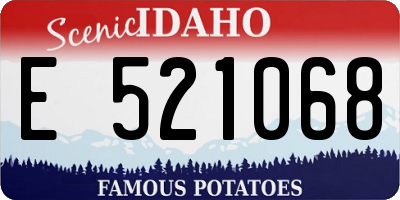 ID license plate E521068