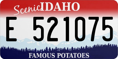 ID license plate E521075