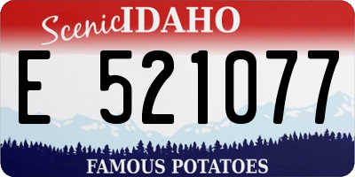 ID license plate E521077
