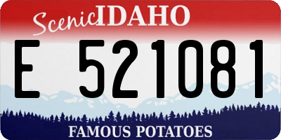 ID license plate E521081