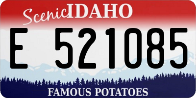 ID license plate E521085