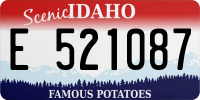 ID license plate E521087