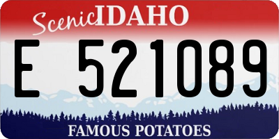 ID license plate E521089