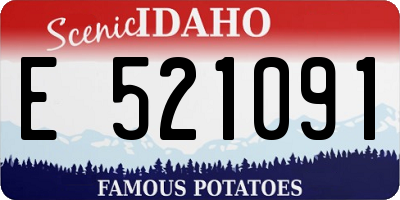 ID license plate E521091