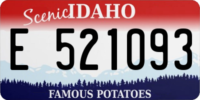 ID license plate E521093