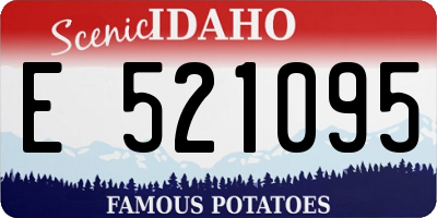 ID license plate E521095