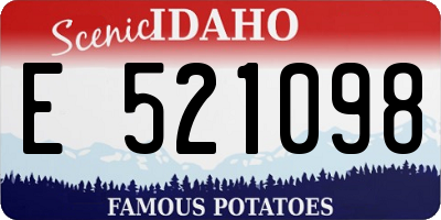 ID license plate E521098