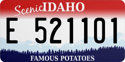 ID license plate E521101