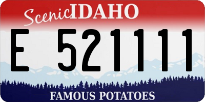 ID license plate E521111