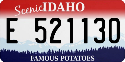 ID license plate E521130