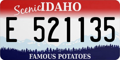 ID license plate E521135