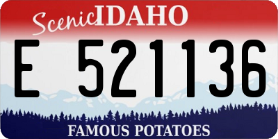 ID license plate E521136
