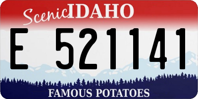 ID license plate E521141