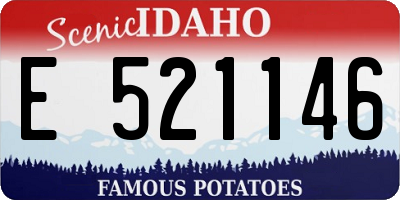 ID license plate E521146