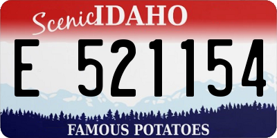 ID license plate E521154