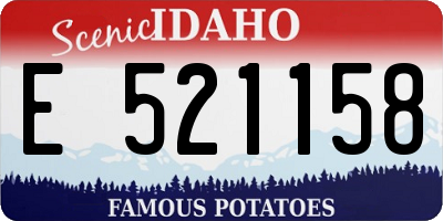 ID license plate E521158