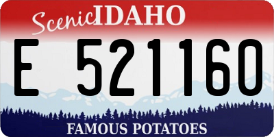 ID license plate E521160