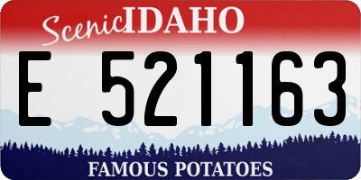 ID license plate E521163