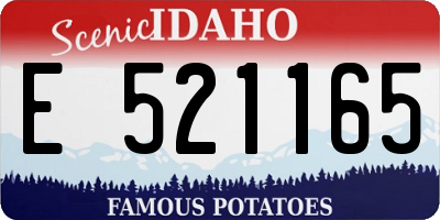 ID license plate E521165