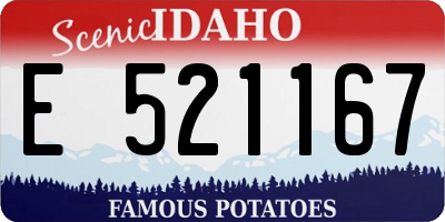 ID license plate E521167