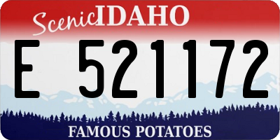 ID license plate E521172