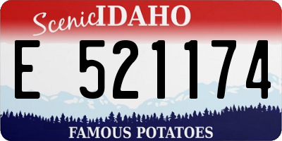 ID license plate E521174