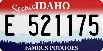 ID license plate E521175