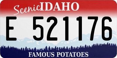 ID license plate E521176