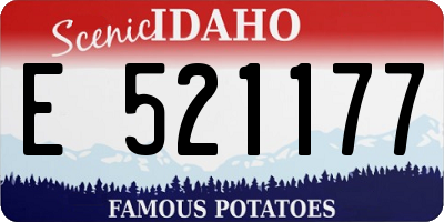 ID license plate E521177