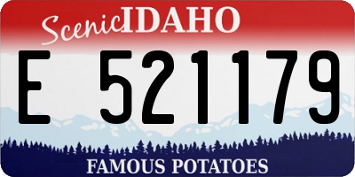 ID license plate E521179