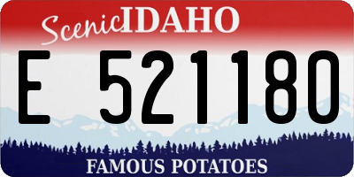 ID license plate E521180