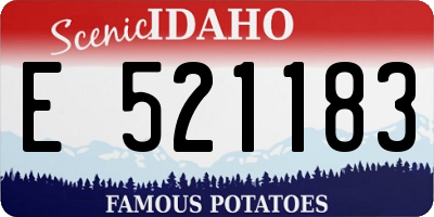 ID license plate E521183