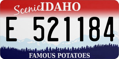 ID license plate E521184