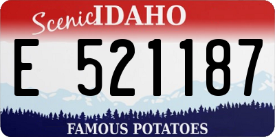 ID license plate E521187