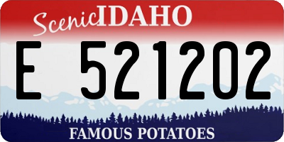 ID license plate E521202