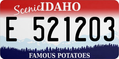 ID license plate E521203