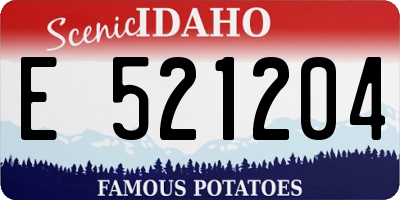 ID license plate E521204