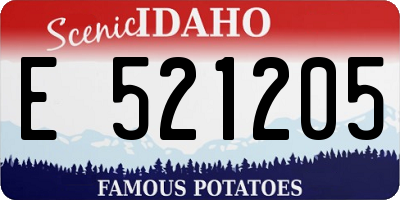 ID license plate E521205