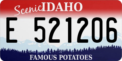 ID license plate E521206
