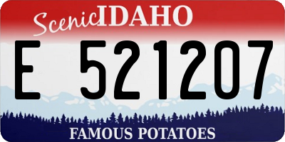ID license plate E521207