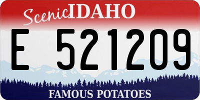 ID license plate E521209