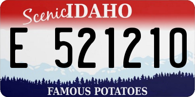 ID license plate E521210