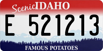 ID license plate E521213