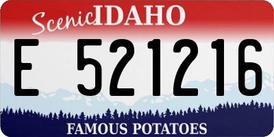 ID license plate E521216