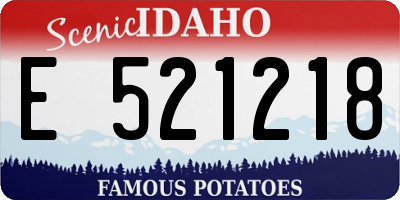 ID license plate E521218