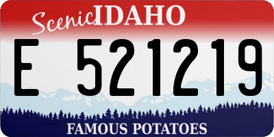 ID license plate E521219