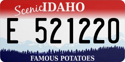 ID license plate E521220