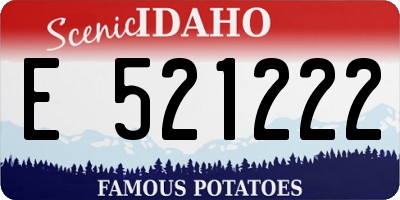 ID license plate E521222